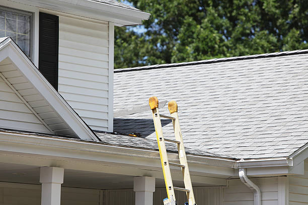 Best Fiber Cement Siding Installation  in Wyncote, PA